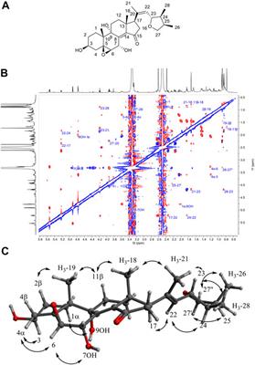 Combination of Pseudo-LC-NMR and HRMS/MS-Based Molecular Networking for the Rapid Identification of Antimicrobial Metabolites From Fusarium petroliphilum